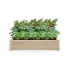 Fir Wood Wooden Square Wood Planter Box for Garden