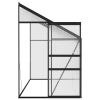 Greenhouse Anthracite Aluminum 220 ft³