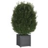 Garden Planters 2 pcs Gray 15.7"x15.7"x15.7" Solid Wood Pine