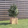Garden Planters 2 pcs 12.2"x12.2"x12.2" Solid Wood Pine