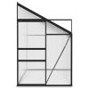 Greenhouse Anthracite Aluminum 229.5 ft³